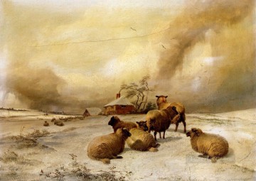  sheep - Sheep In A Winter Landscape sheep farm animals Thomas Sidney Cooper